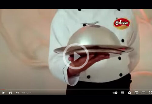 pates-a-veterinaria-colosso